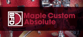 BFD Maple Custom Absolute