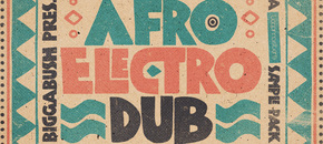Biggabush - Afro Electro Dub