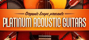 Platinum Acoustic Guitars