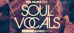 Reel People Present Soul Vocals