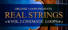 Real Strings Vol. 2 - Cinematic Loops