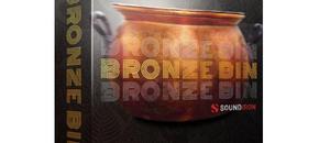 Bronze Bin