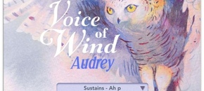 Voice of Wind: Audrey