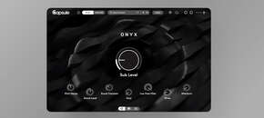 Onyx | Live Performance Sale