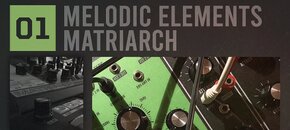 RS Melodic Elements 01 - Matriarch