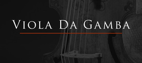 Viola Da Gamba