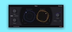 Voca | PIB 13th Anniversary Sale