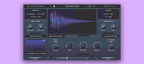Swarm Reverb | Holiday Sale